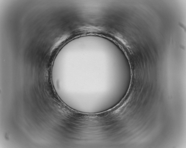 X0000095511309200712140926