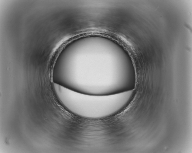 X0000095511310200712140926