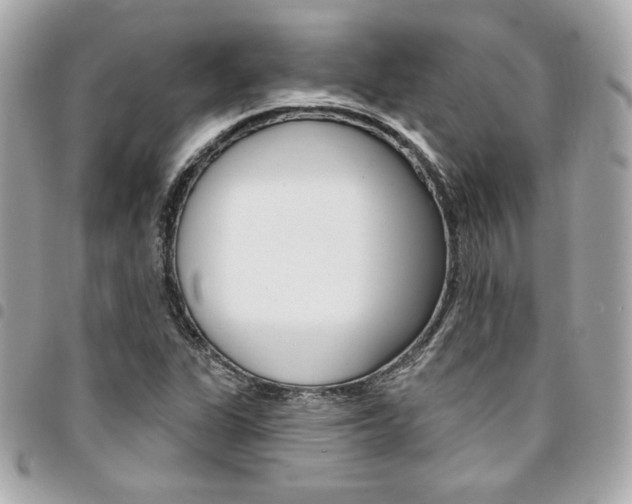 X0000095511311200712140926