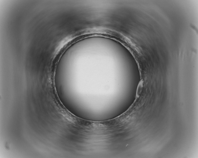 X0000095511312200712140926