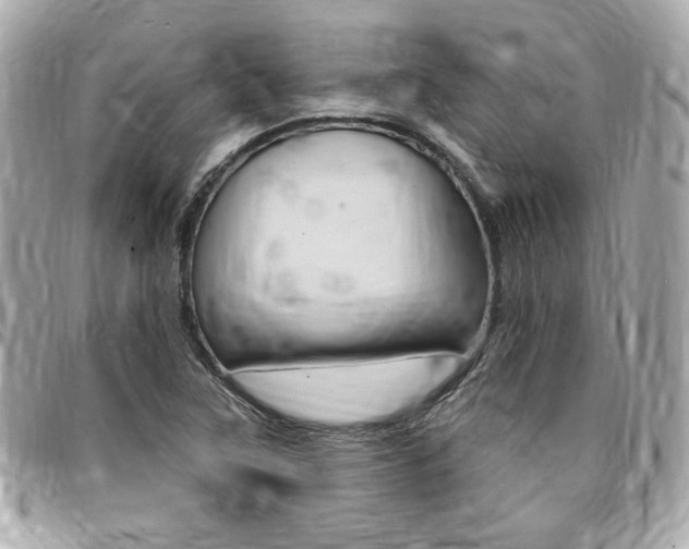 X0000095511315200712140926