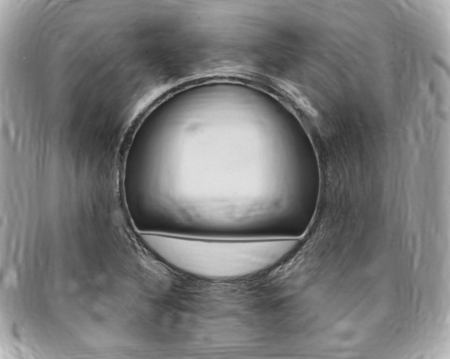 X0000095511316200712140926