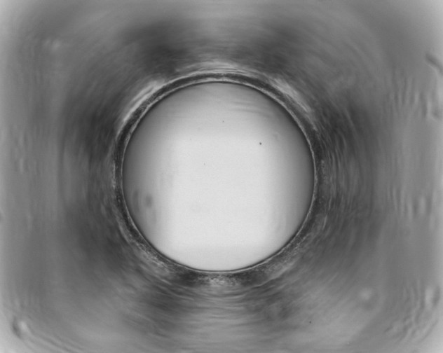 X0000095511318200712140926