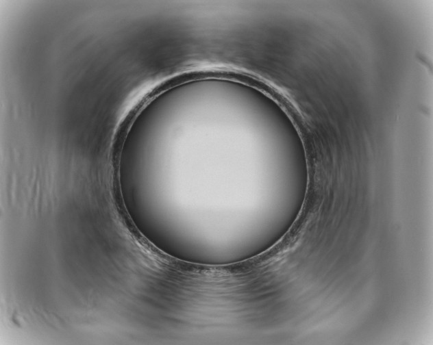 X0000095511319200712140926