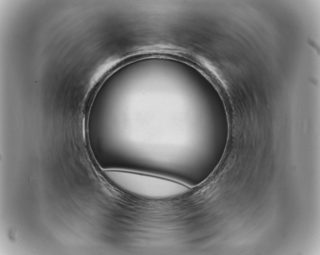 X0000095511320200712140926