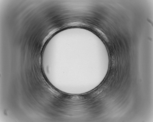 X0000095511322200712140926