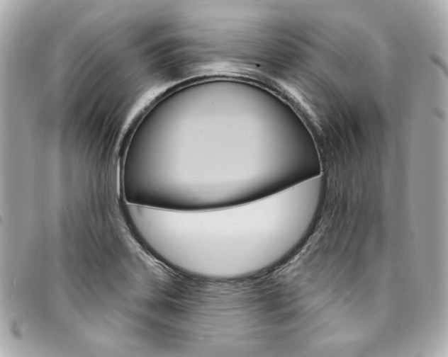 X0000095511323200712140926