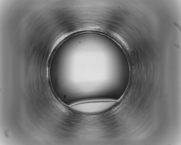 X0000095511324200712140926