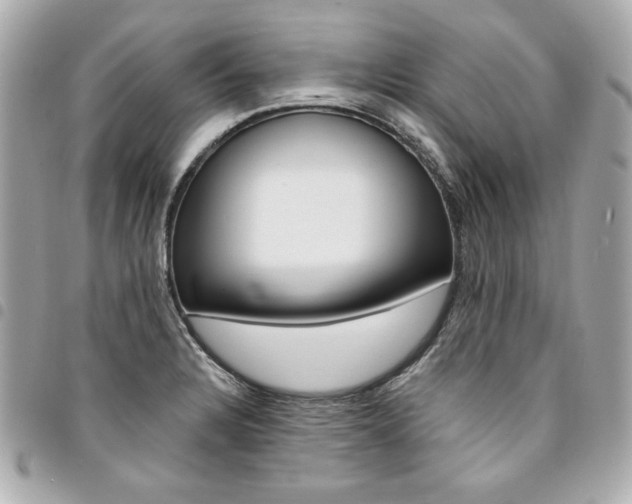 X0000095511328200712140926