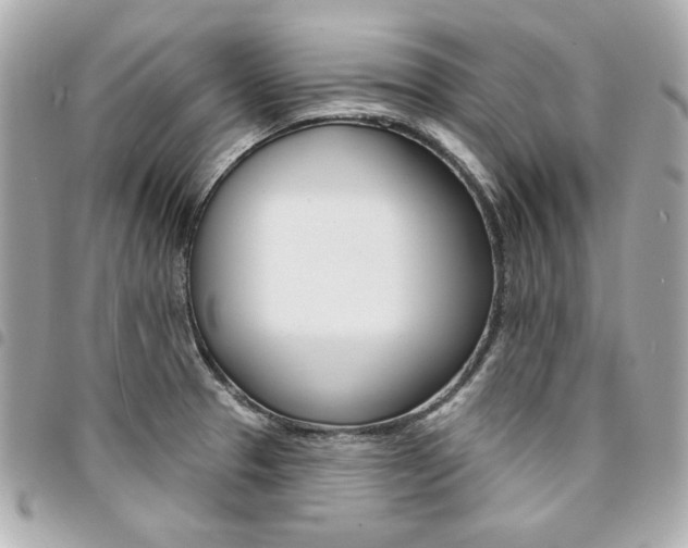 X0000095511329200712140926