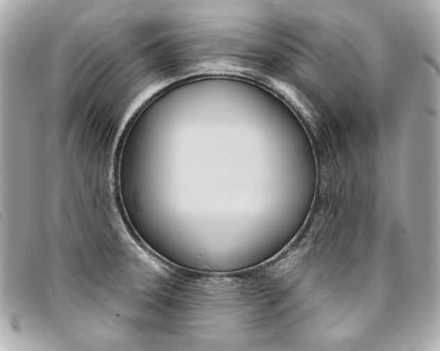 X0000095511331200712140926