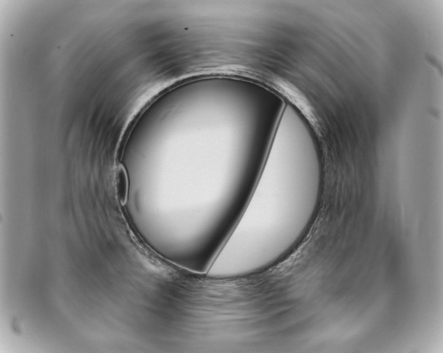 X0000095511332200712140926