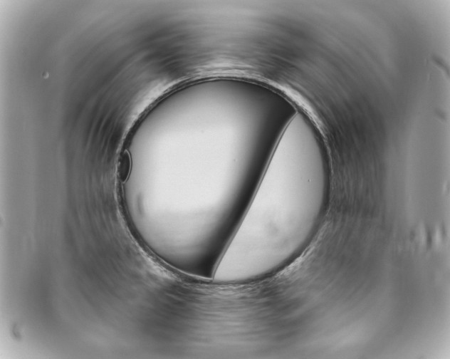 X0000095511333200712140926