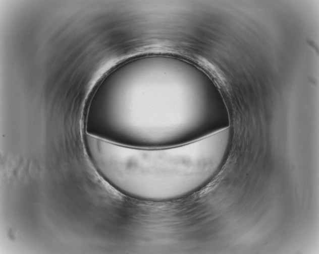 X0000095511334200712140926