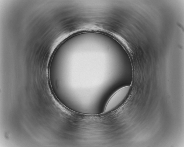 X0000095511335200712140926