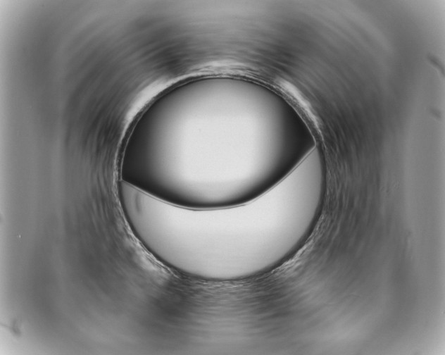 X0000095511336200712140926