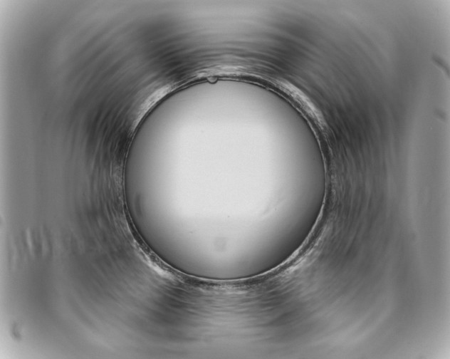X0000095511337200712140926