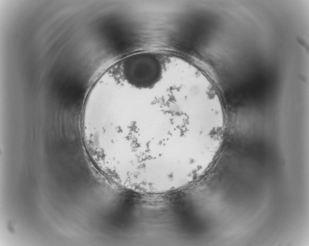 X0000095511338200712140926