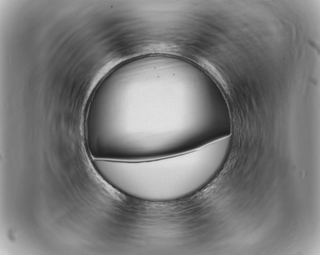X0000095511339200712140926