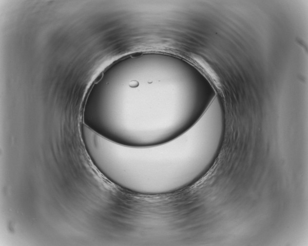 X0000095511340200712140926