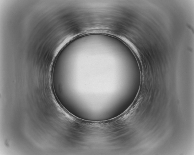 X0000095511341200712140926
