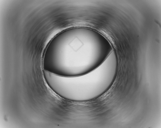 X0000095511342200712140926