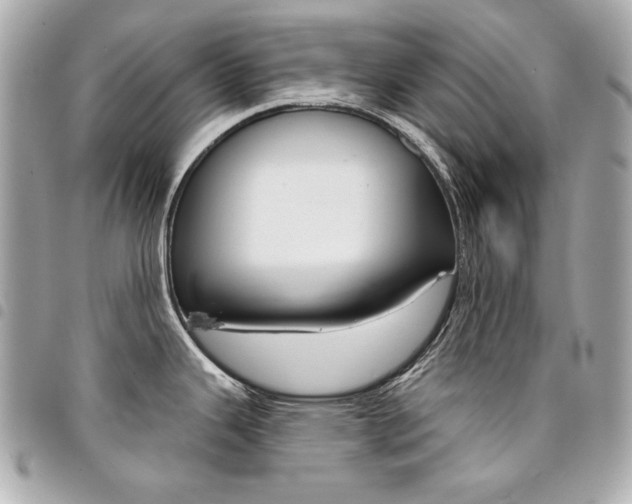 X0000095511343200712140926