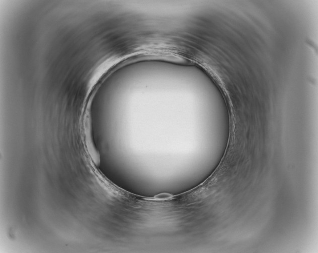 X0000095511344200712140926