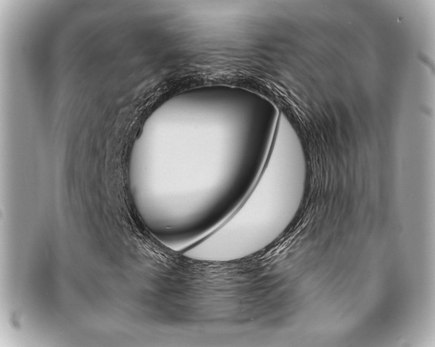 X0000095511345200712140925