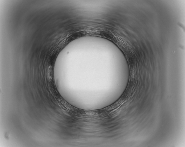 X0000095511346200712140925