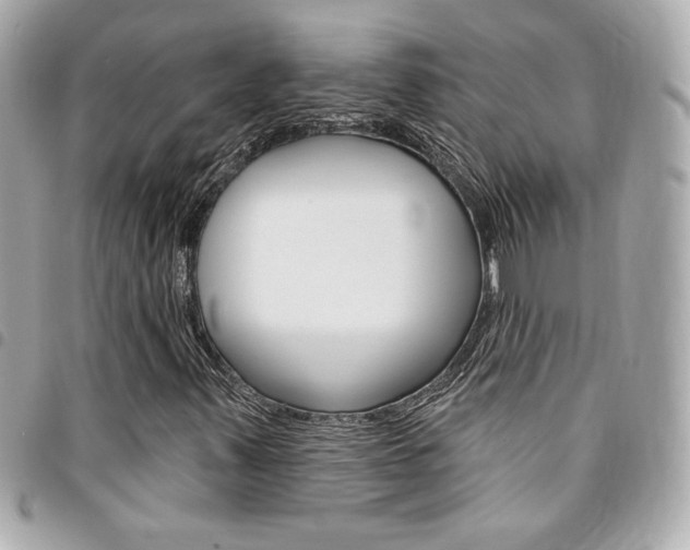 X0000095511347200712140925