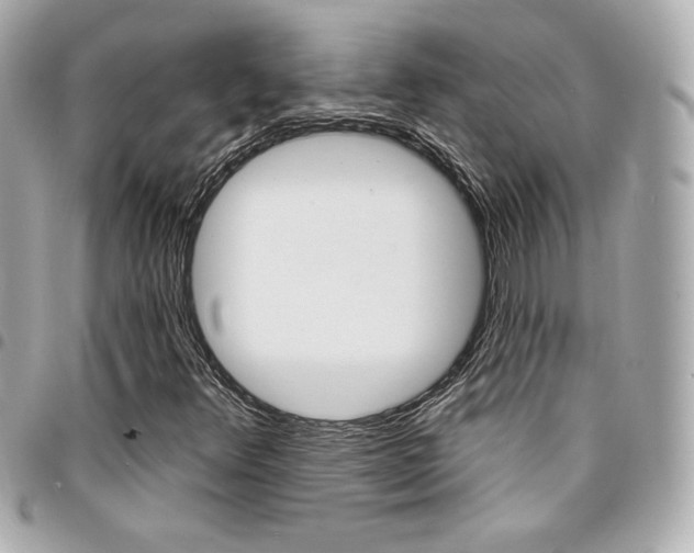 X0000095511348200712140925