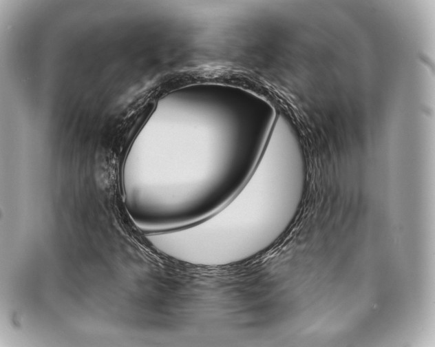 X0000095511349200712140925