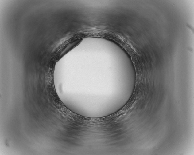 X0000095511350200712140925