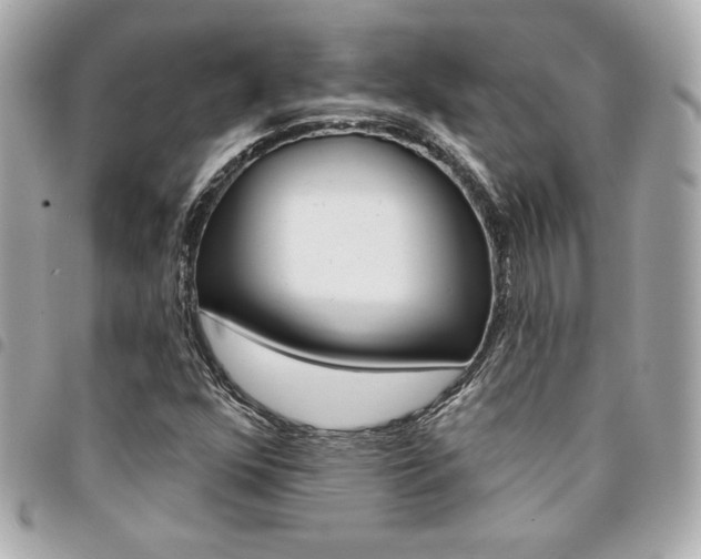 X0000095511352200712140925