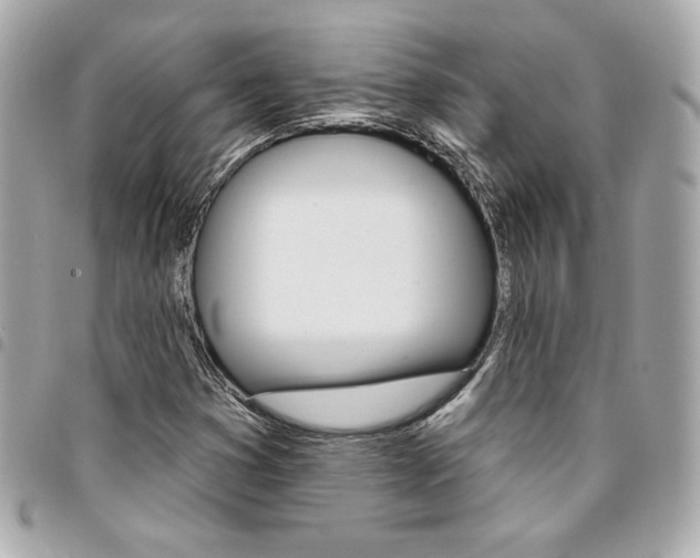 X0000095511353200712140925