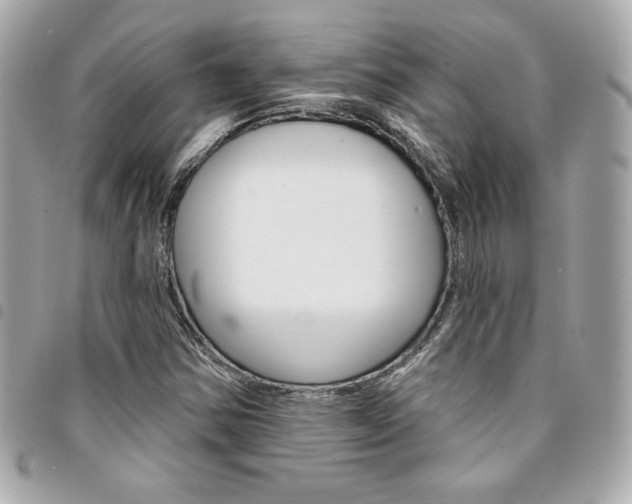 X0000095511354200712140925