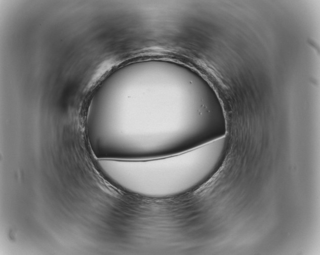 X0000095511355200712140925