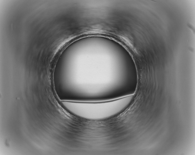X0000095511356200712140925