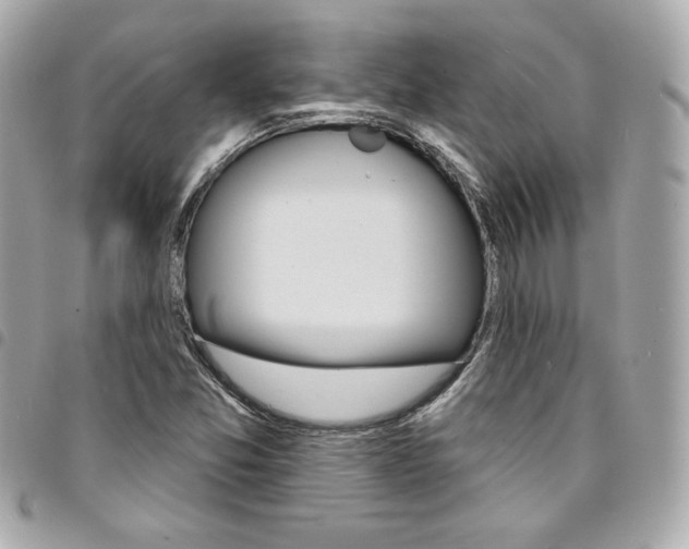 X0000095511357200712140925