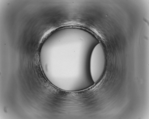 X0000095511358200712140925