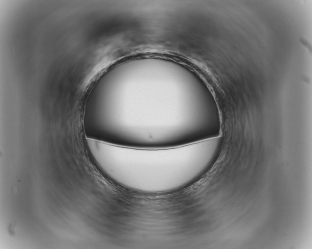X0000095511359200712140925