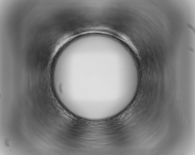 X0000095511360200712140925