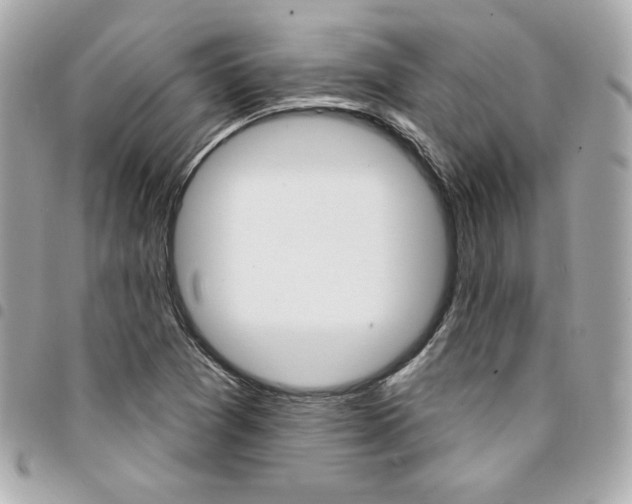 X0000095511361200712140925