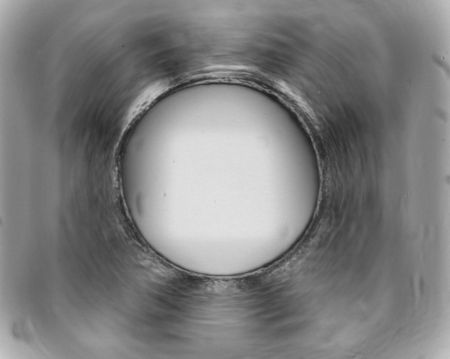 X0000095511362200712140925
