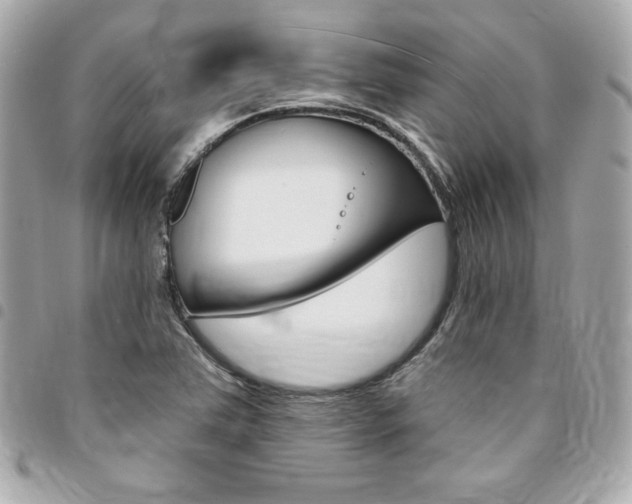 X0000095511363200712140925