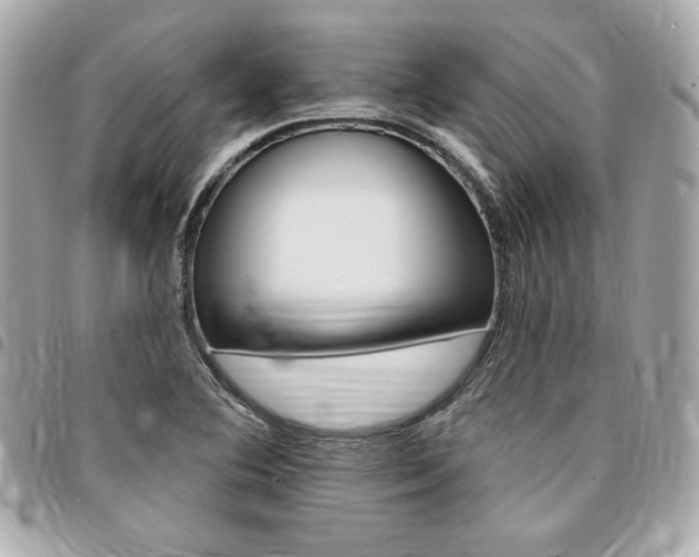 X0000095511364200712140925