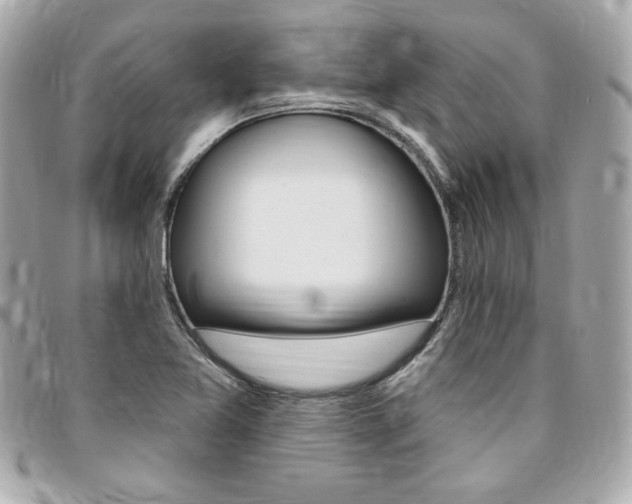 X0000095511365200712140925