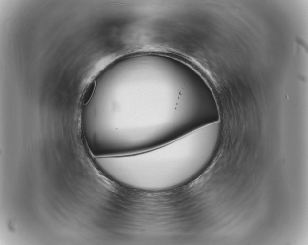 X0000095511367200712140925