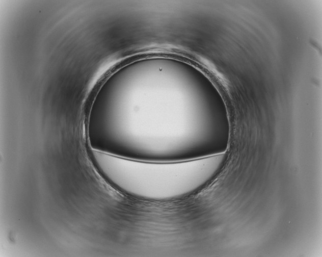 X0000095511368200712140925